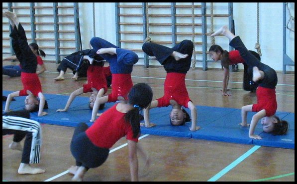 Gym 035.jpg